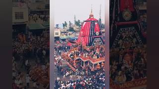 পুরীর রথযাত্রা 2023॥Purir Rath Yatra Darsan 2023॥#shorts #trending #festival #viral #puri