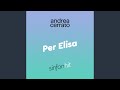 Per Elisa (sinfonhit) (live & loop)