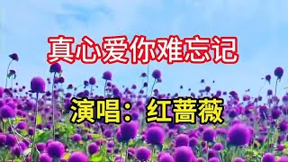 红蔷薇演唱《真心爱你难忘记》，悠扬动听的歌声，令人心旷神怡