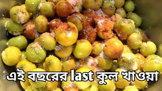 এই বছরের last কুল খাওয়া