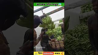 কাজের গতি দেখুন। অবাক হয়ে যাবেন