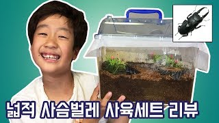 도깨비님 영상 보고 산 넓적사슴벌레 사육세트 후기_키즈크리에이터 챔챔TV