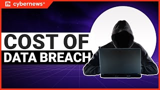 How much Does a Data Breach Costs to YOU | cybernews.com