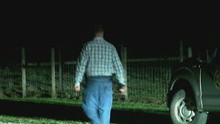 Manatee County Sheriff's Office receives call about possible tiger sighting