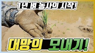 이앙기로 모내기