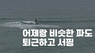 어제랑 비슷한 파도 퇴근하고 서핑/20240520/서핑기록/남애1리/surfing