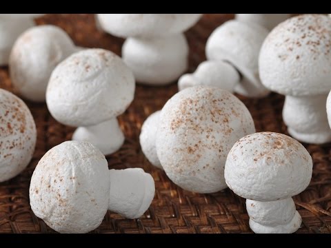 Meringue Mushrooms Recipe Demonstration - Joyofbaking.com Meringue Mushrooms Recipe Demonstration - Joyofbaking.com