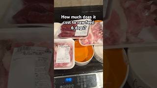 How much does it cost to raw feed 6 dogs? #shorts #dog #rawfood