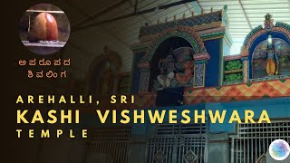 Arehalli Sri Kashi Vishweshwara Swamy Temple | ಅರೇಹಳ್ಳಿ ಶ್ರೀ ಕಾಶಿ ವಿಶ್ವೇಶ್ವರ ಸ್ವಾಮಿ ದೇವಸ್ಥಾನ