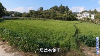 上门给79岁老奶奶修电视，路上窜出一只野兔，可把老男孩激动得