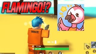 Actualizacion Island Royale Flamencos Roblox - actualizacion island royale flamencos roblox