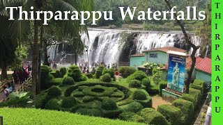 Thirparappu WaterFalls in Kanyakumari | Kanyakumari | Tirparappu Falls | Kanyakumari Courtrallam