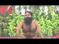 पंचगव्य panchgavya के सेवन से रहे रोगमुक्त swami ramdev