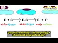 ដូចម្តេចដែលហៅថា អង់ស៊ីម តើវាមានមុខងារអ្វីខ្លះ ចូរនិយាយពីយថាប្រភេទនៃអង់ស៊ីម ។ my qanda