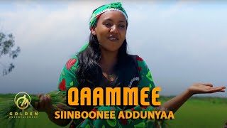 Siinboonee Addunyaa - Qaammee - Ethiopian Oromo Music 2020 [Official Video]