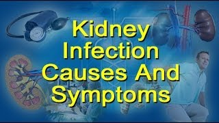 Kidney Infection Causes, Symptoms  - Glomerulonephritis and Pyelonephritis