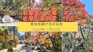 【風景と自然】岩屋堂公園・紅葉＃１ 岩屋山薬師堂　愛知県瀬戸市 2024年11月23日　YakushidoGyomyogataki Falls, Torihara River