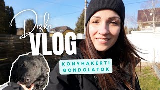 Ne halogass tovább |  Konyhakert februárban | VLOG #1