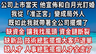 公司上市當天 他宣佈和白月光訂婚，我從「准正宮」變成局外人，既如此我就帶著全公司擺爛了，缺資金 讓我找風頭資金鏈斷裂，缺新品 技術總監擺爛大客戶退單，缺人才 人事總監擺爛人才全挖走了#家庭伦理#小說