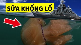 Những điều Vô cùng kinh ngạc về Động vật