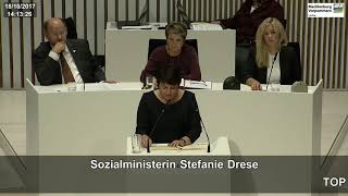 Staatliche Anerkennung von Sozialberufen - Stefanie Drese