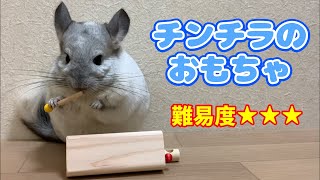 フォージングトイで遊ぶチンチラがとてもかわいい♪