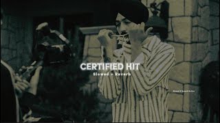 Certified Hit ( Slowed + Reverb) - Tarna,Byg Byrd