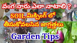 వంగ నారు ఎలా నాటాలి|soilmixing  లో తీసుకోవాల్సిన జాగ్రత్తలు| Garden Tips|nagaraju terrace garden