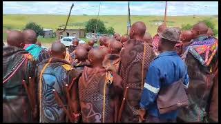 Makolwane A Basotho Matatiele 2024