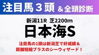 【2024日本海ステークス】競馬予想｜注目馬の1頭は新潟芝で好成績＆距離短縮プラスのシーウィザード！