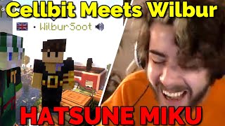 Cellbit meets Wilbur Soot for the First Time on QSMP Minecraft