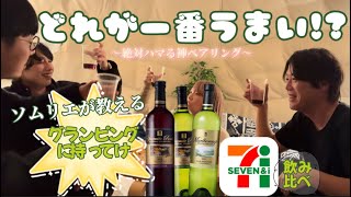 【セブイレ飲み比べ】ソムリエがグランピングにコンビニワインを３本持っていった結果...【衝撃】