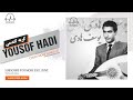 yousof hadi یوسف هادی گربه گندمی