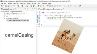 Java Variable Assignment