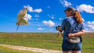 Owl Adaptations: Vision, Hearing & Silent Flight Explained!