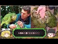 【閲覧注意】可愛すぎる生き物 top10【ゆっくり解説】【総集編】