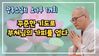 꾸준한 기도로 부처님의 가피를 얻다 | 광우스님의 소나무 139회