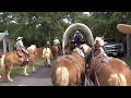 PART 1 of 5 ~ 2017 Days of 49 Amador Wagon Train with BIG HORSE WORKS