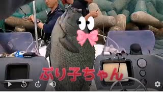 【衣浦湾】グレ釣り行ったら即爆釣モード！  碧南火力温排水