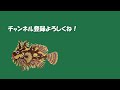 日付から曜日を取得する方法