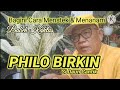 Cara Men-Stek & Menanam PHILO BIRKIN, Sidaun Cantik