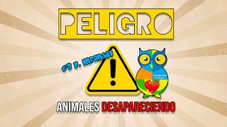 📚Cuento 6º B Infantil 2024 -25 ⚠️ ¡Peligro! Animales Desapareciendo