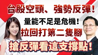 【自由女神邱沁宜】台股空頭、強勢反彈！量能不足是危機！拉回打第二隻腳，搶反彈看這支撐點！Ft.朱家泓