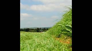 How to maximise silage yields to replenish silage stocks