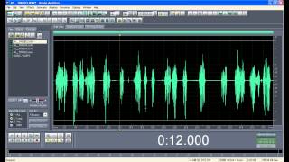 7. Mastering your Adobe Audition Skills: Basic Processing