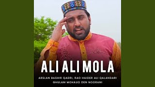 Ali Ali Mola Haider Mola