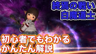 【FF14暁月】終焉の戦いに白魔道士(ヒーラー)で挑戦【暁月のフィナーレ討滅戦】