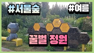 서울숲 꿀벌정원 8월의 풍경🐝 힐링 인 서울 포레스트