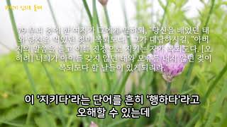 도마복음 79.  아버지의 말씀을 듣고 이를 진정으로 지키는 자가 복되도다