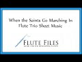 When the Saints Go Marching In - Flute Trio